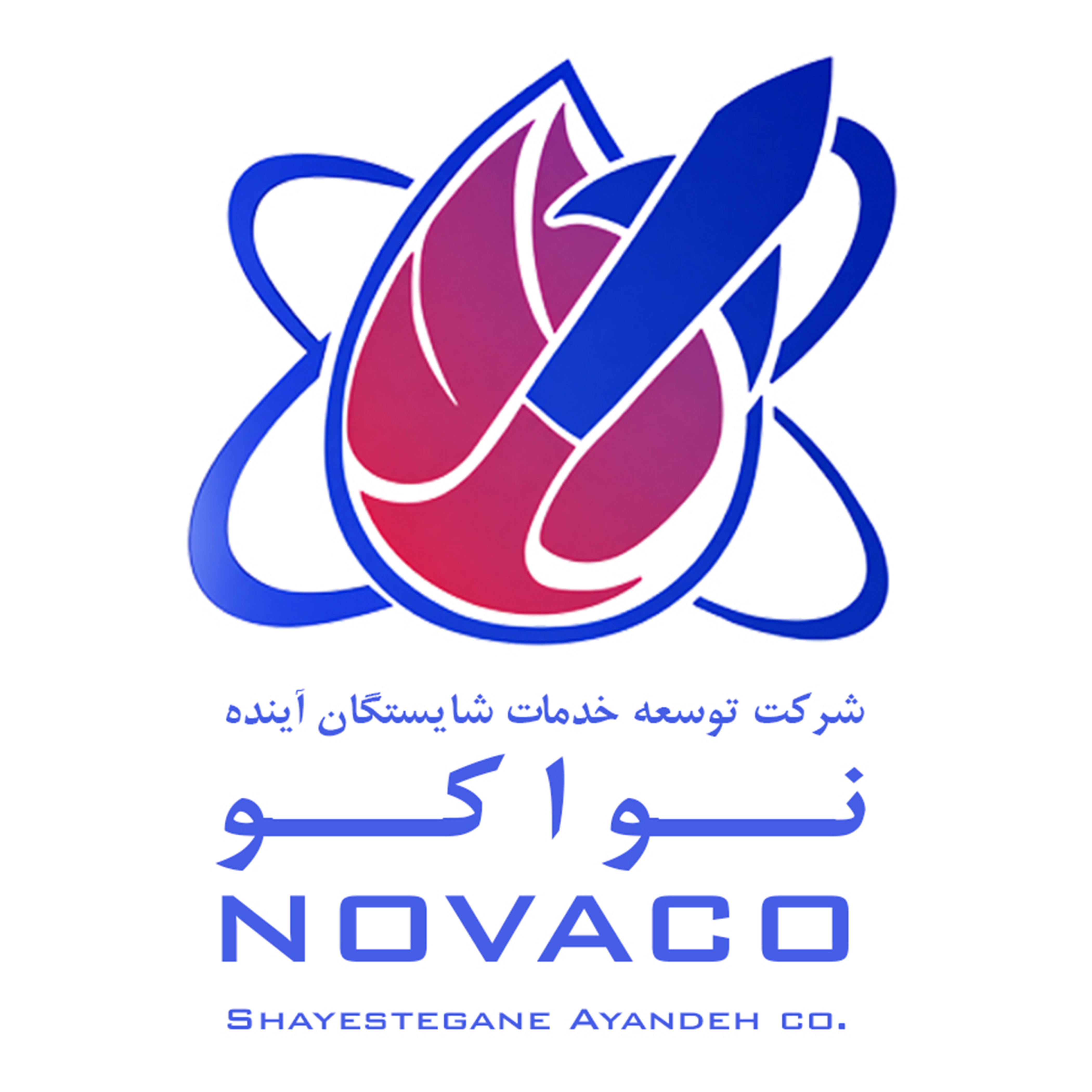 شرکت توسعه خدمات شایستگان آینده