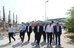 بازدید سخاوت اسدی از نخل آسماری