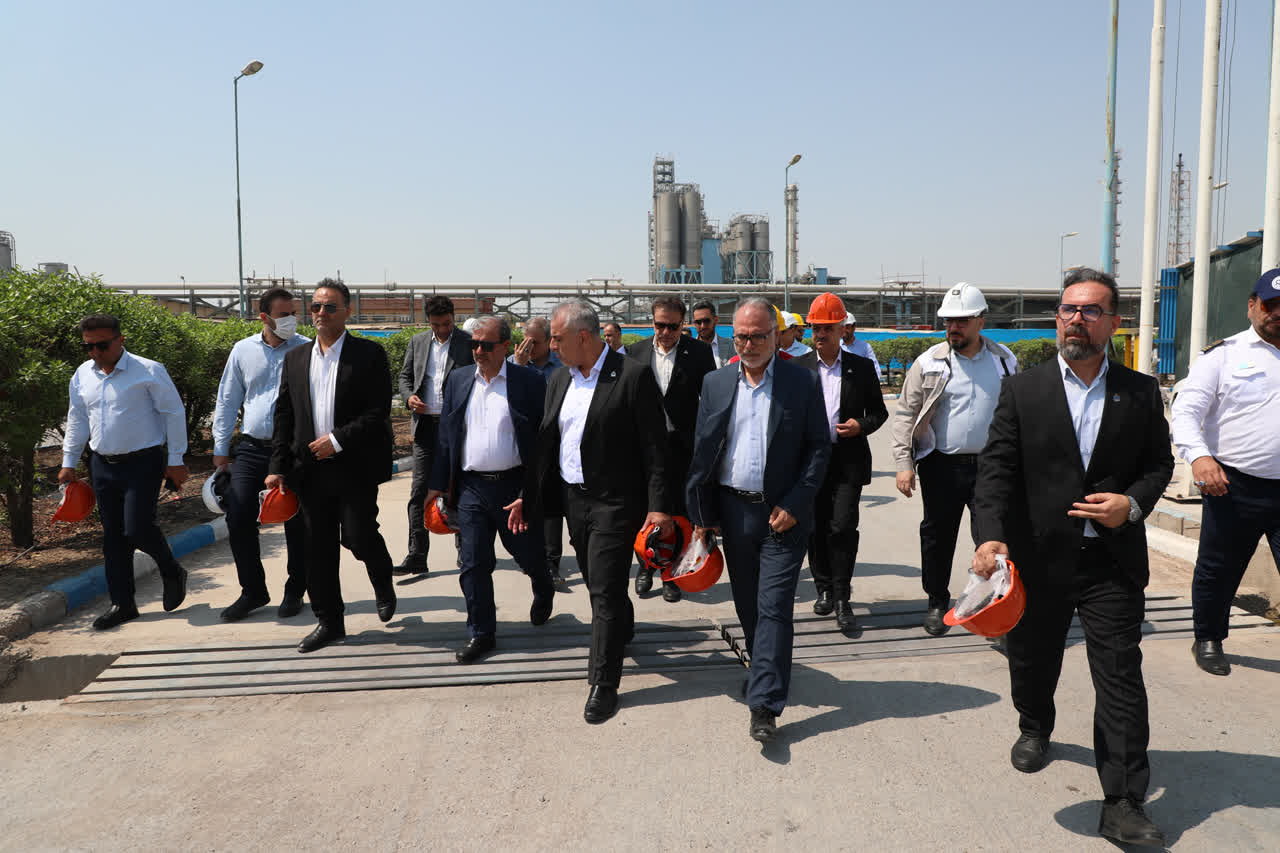 بازدید سخاوت اسدی از نخل آسماری